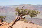 Grand Canyon Trip 2010 219